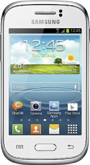 Samsung Galaxy Young S6310