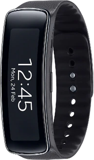 Samsung Gear Fit (R3500)