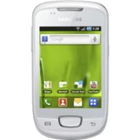 Samsung Galaxy mini S5570