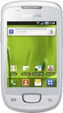 Samsung Galaxy mini S5570 (GT-S5570AAIXEN)