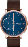 Skagen Hagen Connected Hybrid (SKT1103P)