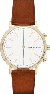 Skagen Hald Connected Hybrid (SKT1204P)