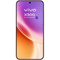Vivo X300