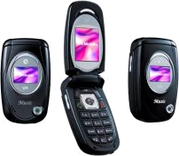 VK Mobile VK1100